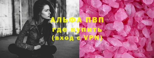 сатива Каменногорск