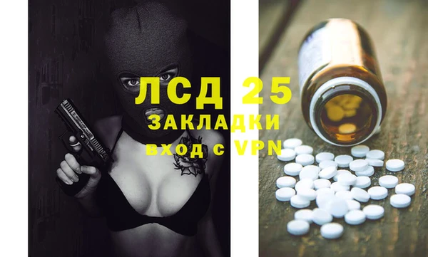 сатива Каменногорск