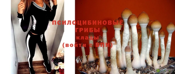 метамфетамин Карпинск