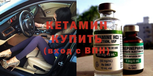 шишки Щигры