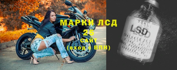 шишки Щигры