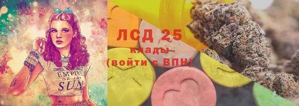 шишки Щигры