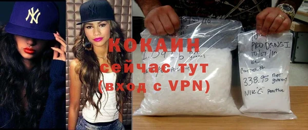 шишки Щигры