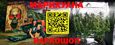 крисы Дубна