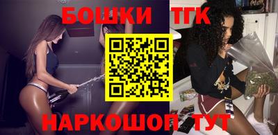 крисы Дубна