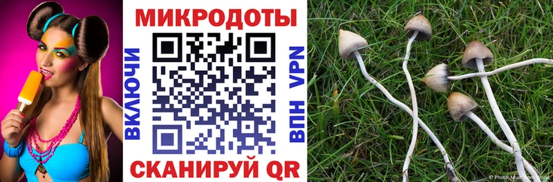 это состав  Кольчугино  Галлюциногенные грибы прущие грибы 
