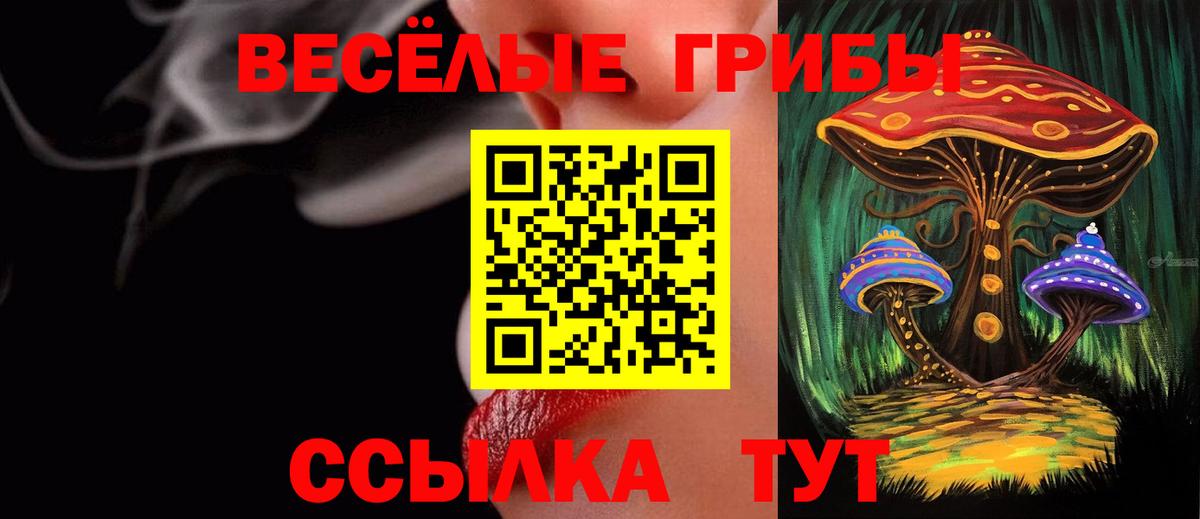 Кольчугино  Галлюциногенные грибы MAGIC MUSHROOMS  Вход с VPN 