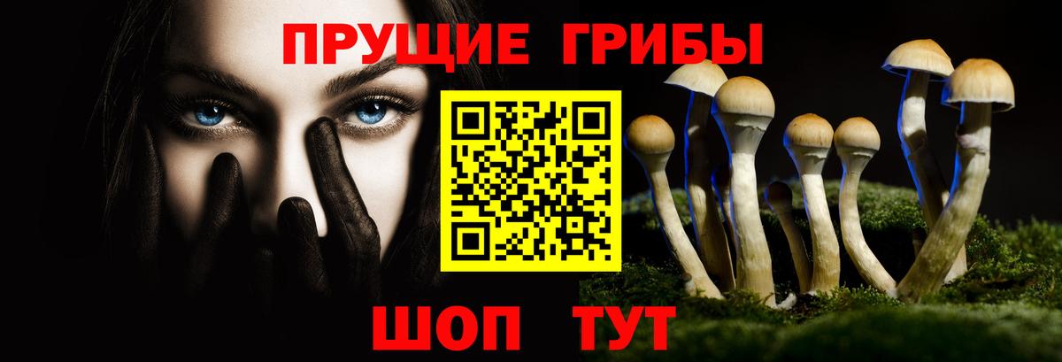 Псилоцибиновые грибы MAGIC MUSHROOMS Кольчугино